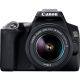 Canon EOS 250D DSLR Camera With EFS 18-55 DC III Lens Kit